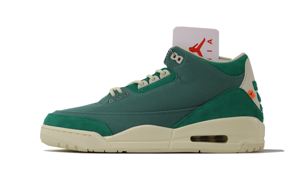 Nina chanel abney x Jordan 3